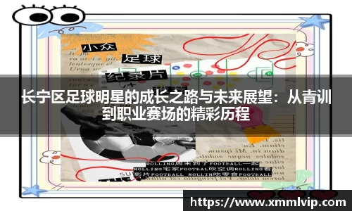 完美电竞官网